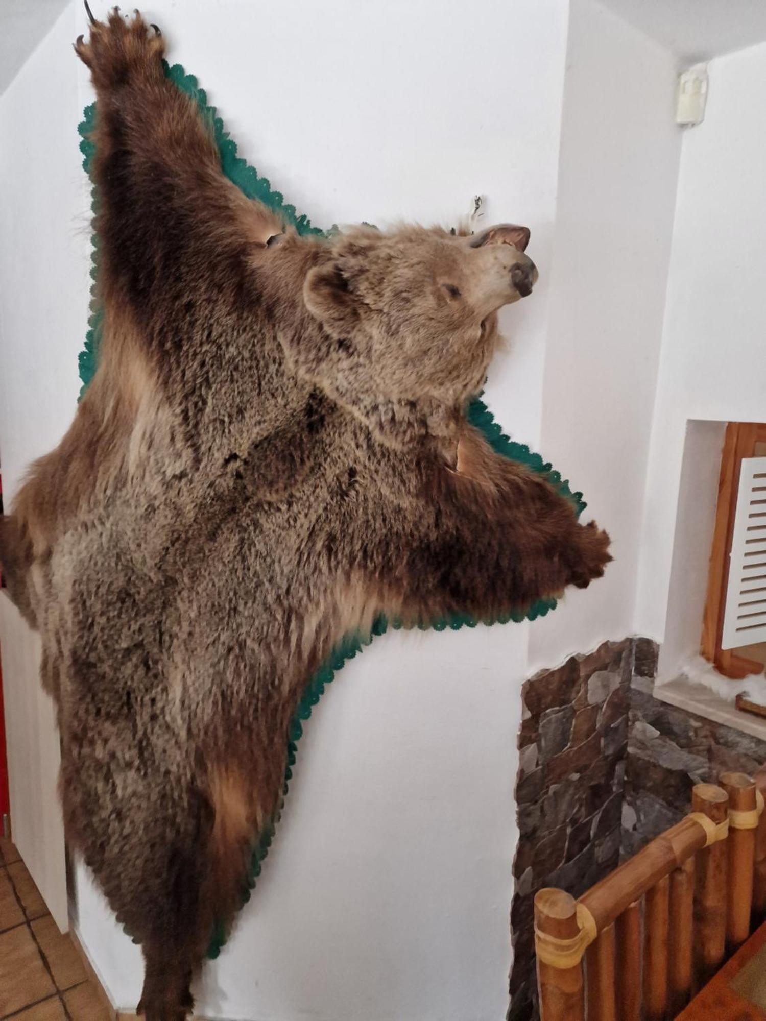 Ubytovanie Janka Turany Esterno foto